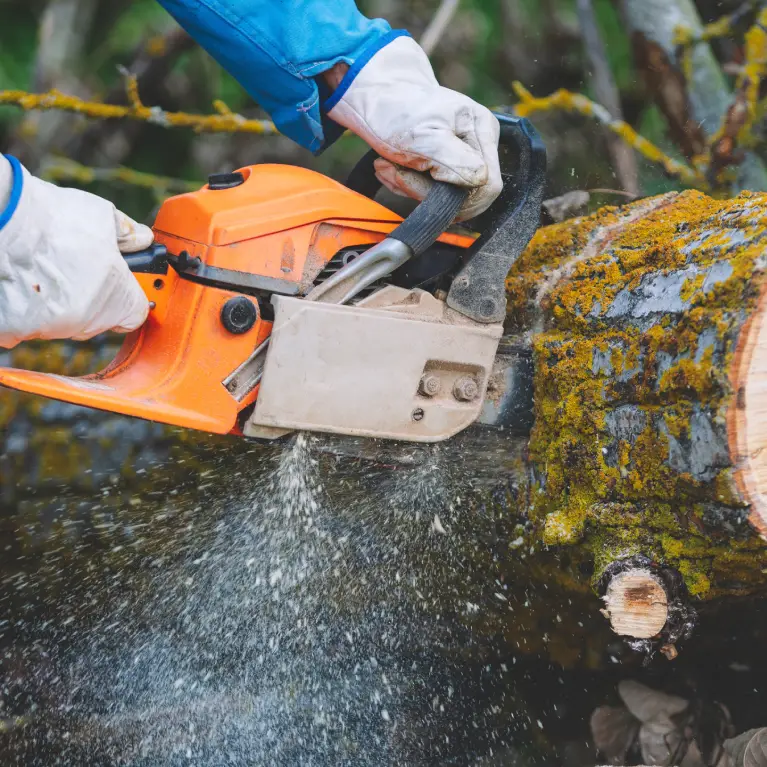 A person in gloves operates a chainsaw on a moss-covered log, with sawdust flying as the blade cuts through the wood.