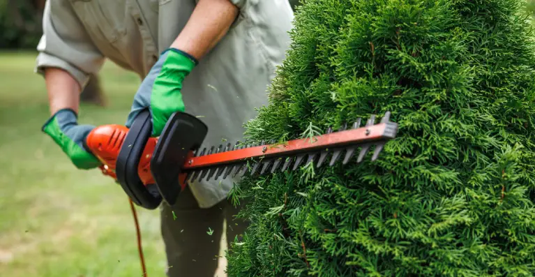 A person in gloves operates a chainsaw on a moss-covered log, with sawdust flying as the blade cuts through the wood.